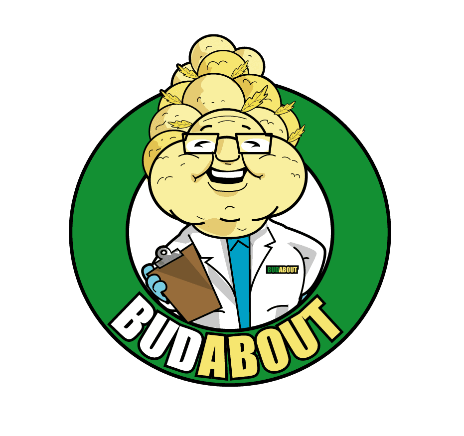 BudAbout logo